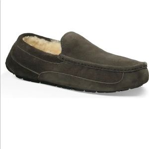 UGGs men’s Ascot Shoes